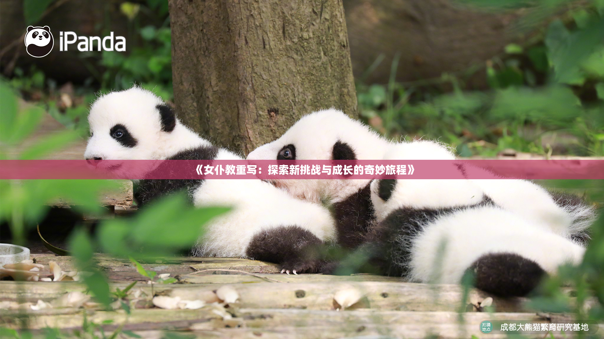 《女仆教重写：探索新挑战与成长的奇妙旅程》