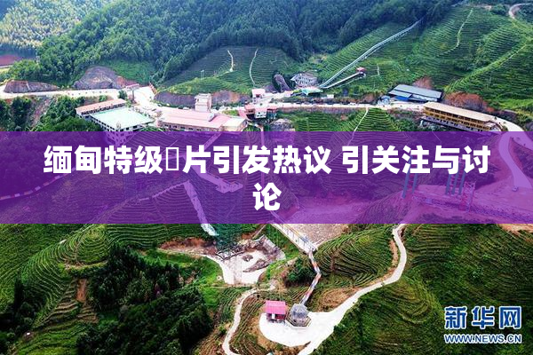缅甸特级婬片引发热议 引关注与讨论