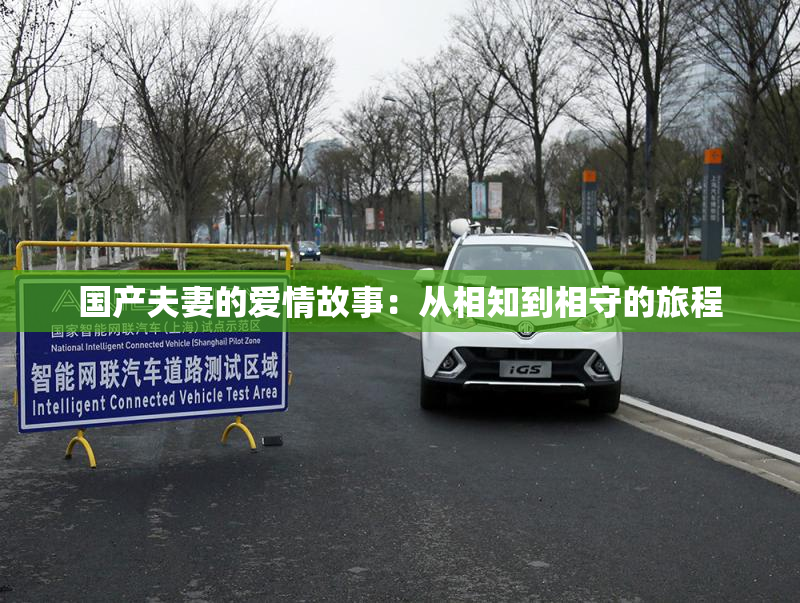 国产夫妻的爱情故事：从相知到相守的旅程