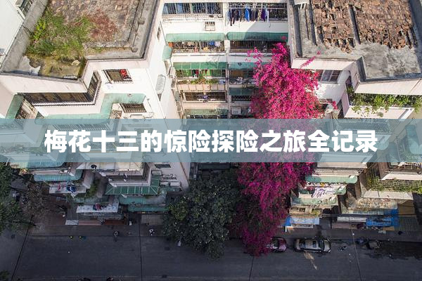 梅花十三的惊险探险之旅全记录