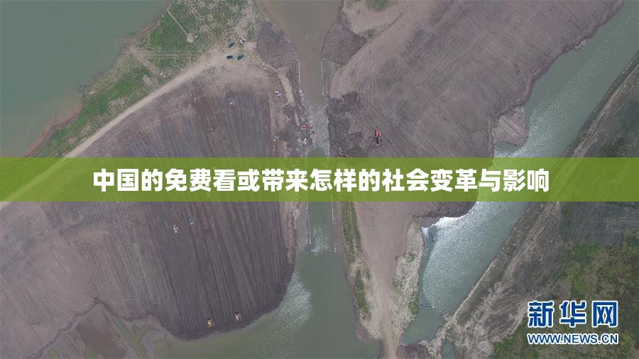 中国的免费看或带来怎样的社会变革与影响