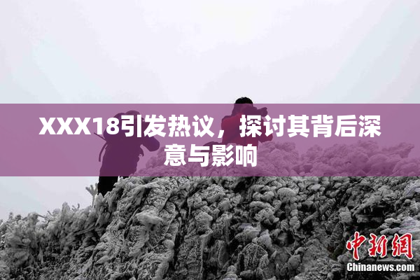 XXX18引发热议，探讨其背后深意与影响