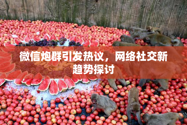 微信炮群引发热议，网络社交新趋势探讨