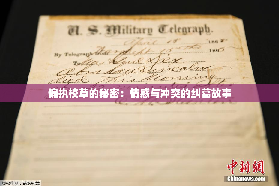 偏执校草的秘密：情感与冲突的纠葛故事