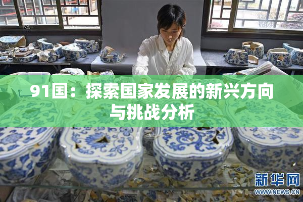 91国：探索国家发展的新兴方向与挑战分析