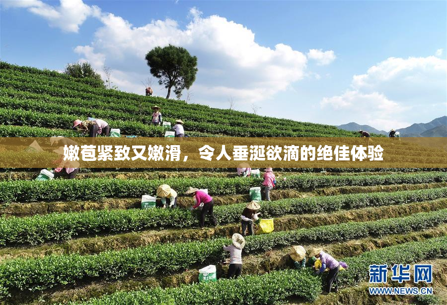 嫩苞紧致又嫩滑，令人垂涎欲滴的绝佳体验