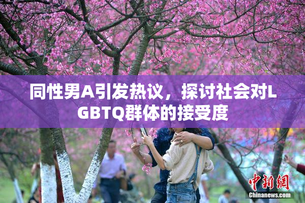 同性男A引发热议，探讨社会对LGBTQ群体的接受度