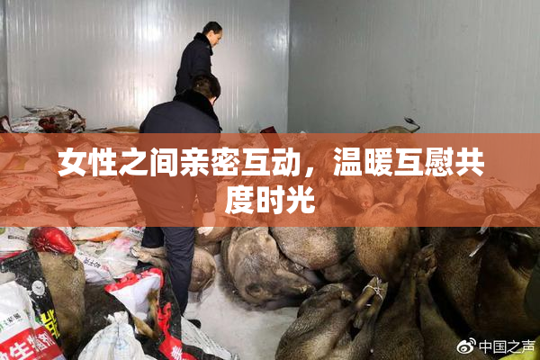 女性之间亲密互动，温暖互慰共度时光
