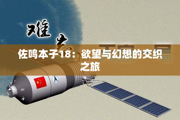 佐鸣本子18：欲望与幻想的交织之旅