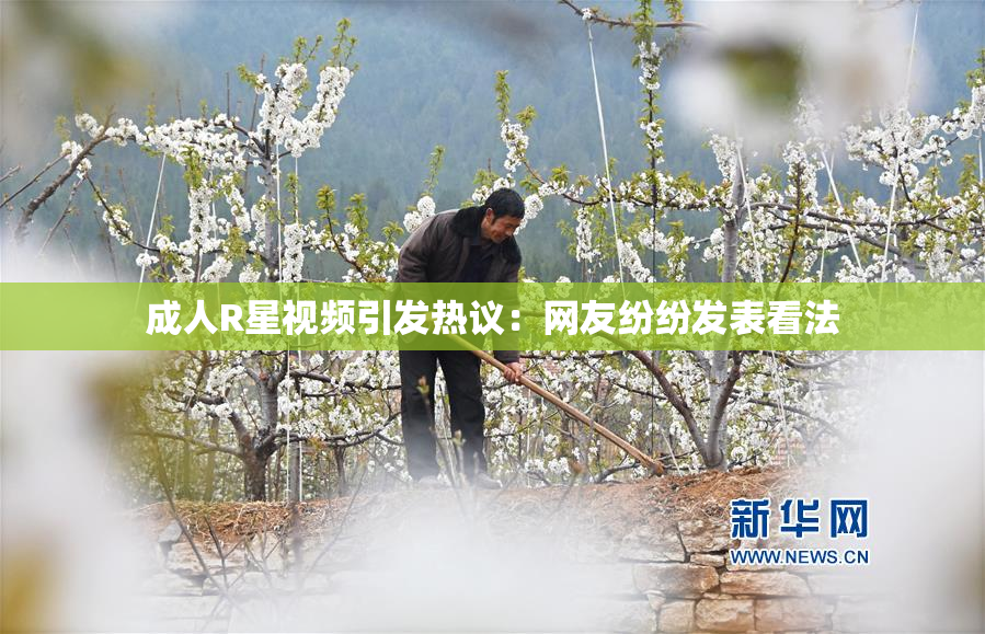成人R星视频引发热议：网友纷纷发表看法