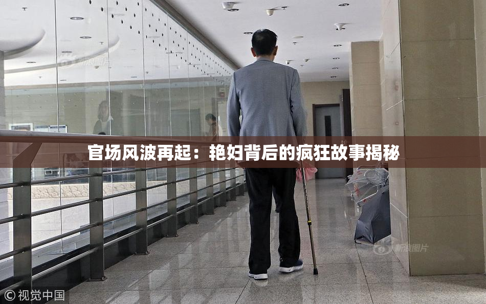 官场风波再起：艳妇背后的疯狂故事揭秘