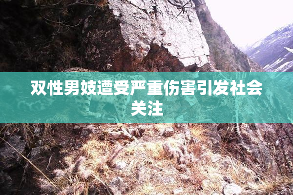 双性男妓遭受严重伤害引发社会关注
