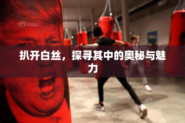 扒开白丝，探寻其中的奥秘与魅力