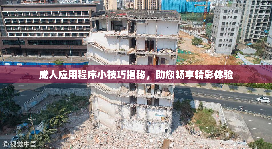 成人应用程序小技巧揭秘，助您畅享精彩体验