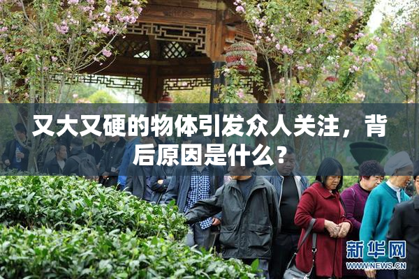 又大又硬的物体引发众人关注，背后原因是什么？
