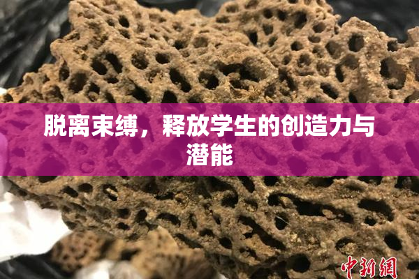 脱离束缚，释放学生的创造力与潜能