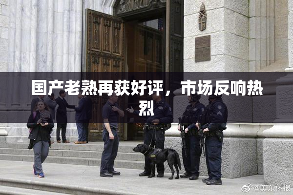 国产老熟再获好评，市场反响热烈