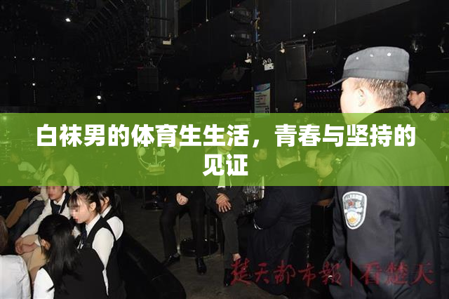 白袜男的体育生生活，青春与坚持的见证