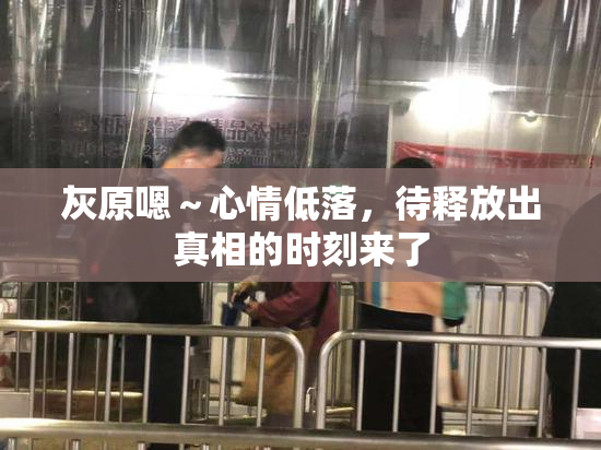 灰原嗯～心情低落，待释放出真相的时刻来了