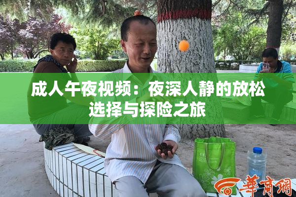 成人午夜视频：夜深人静的放松选择与探险之旅