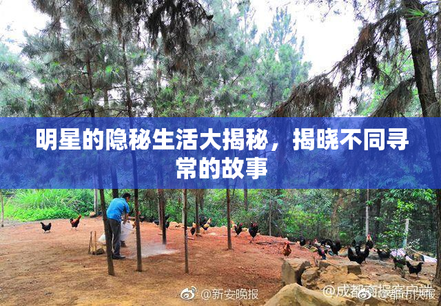 明星的隐秘生活大揭秘，揭晓不同寻常的故事