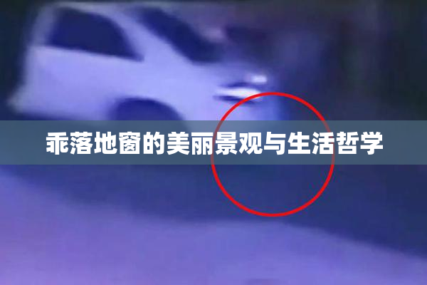 乖落地窗的美丽景观与生活哲学