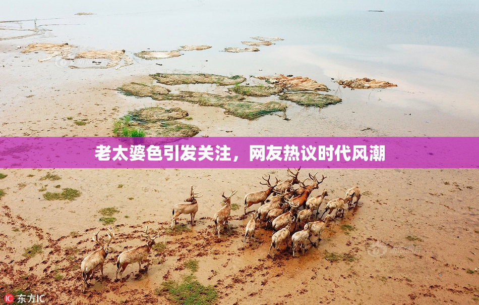 老太婆色引发关注，网友热议时代风潮