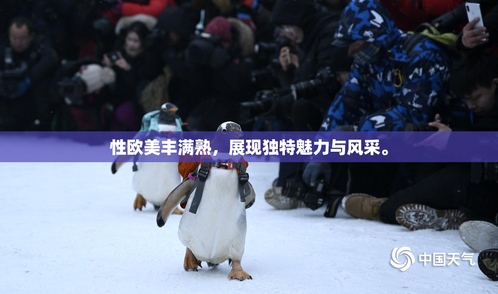 性欧美丰满熟，展现独特魅力与风采。