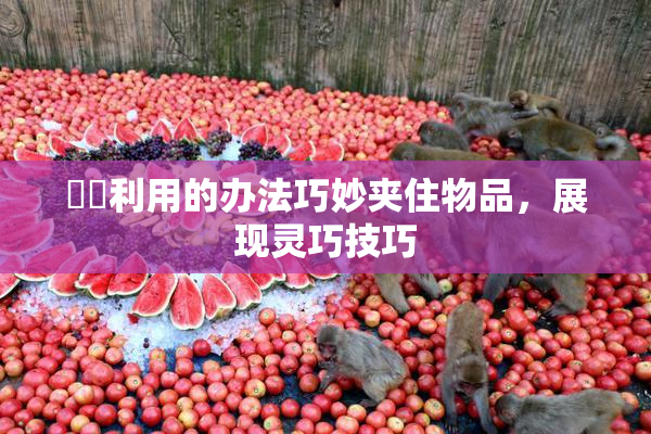 妺妺利用的办法巧妙夹住物品，展现灵巧技巧
