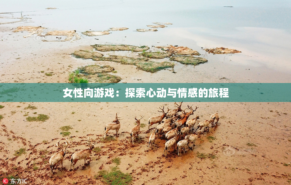 女性向游戏：探索心动与情感的旅程