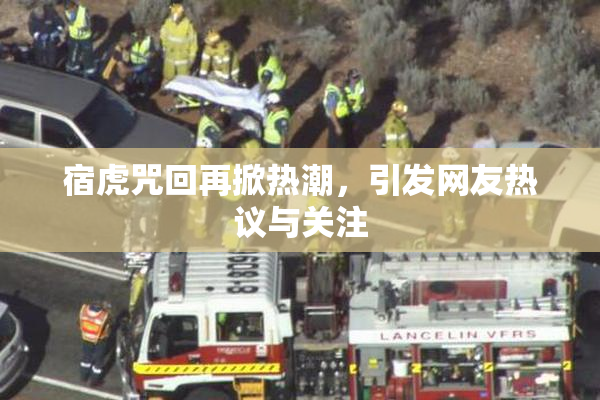 宿虎咒回再掀热潮，引发网友热议与关注
