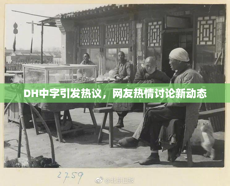 DH中字引发热议，网友热情讨论新动态