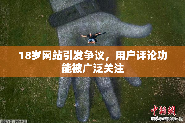 18岁网站引发争议，用户评论功能被广泛关注