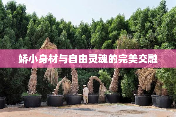 娇小身材与自由灵魂的完美交融