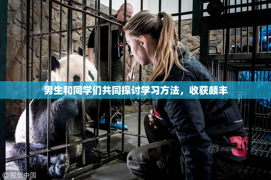 男生和同学们共同探讨学习方法，收获颇丰