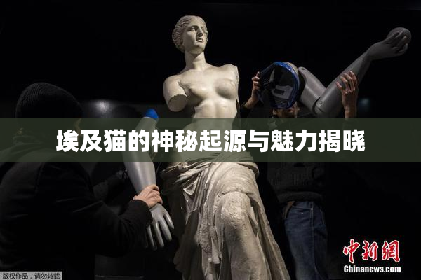 埃及猫的神秘起源与魅力揭晓