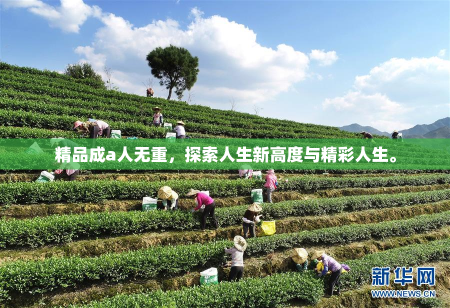 精品成a人无重，探索人生新高度与精彩人生。