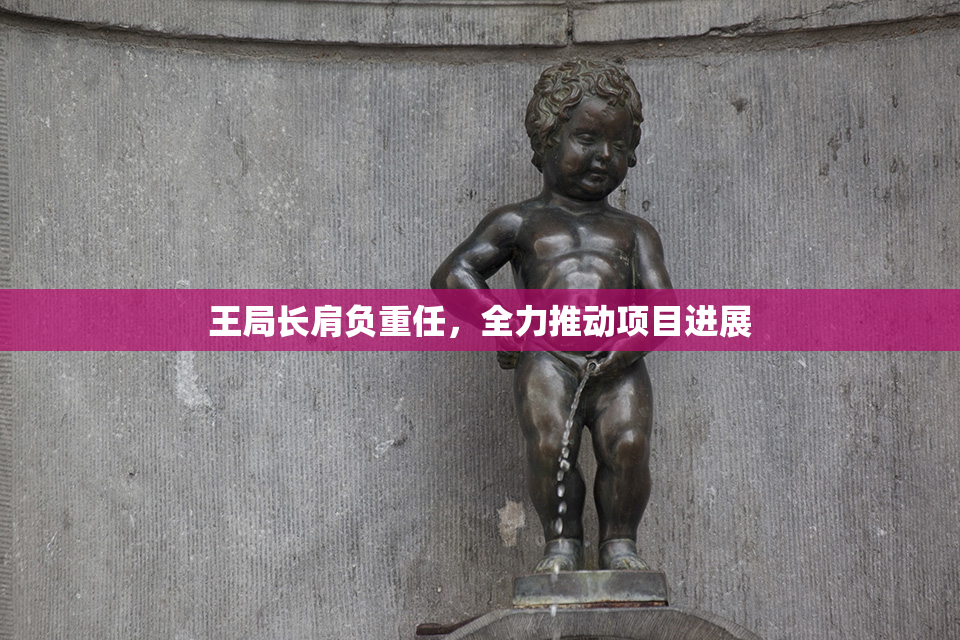 王局长肩负重任，全力推动项目进展