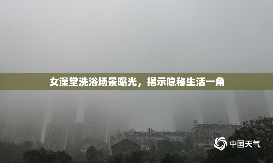 女澡堂洗浴场景曝光，揭示隐秘生活一角