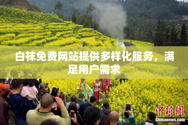 白袜免费网站提供多样化服务，满足用户需求