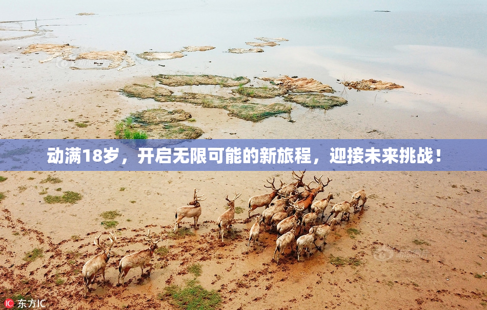 动满18岁，开启无限可能的新旅程，迎接未来挑战！