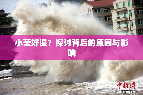 小莹好湿？探讨背后的原因与影响