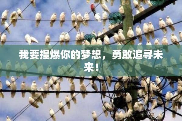 我要捏爆你的梦想，勇敢追寻未来！