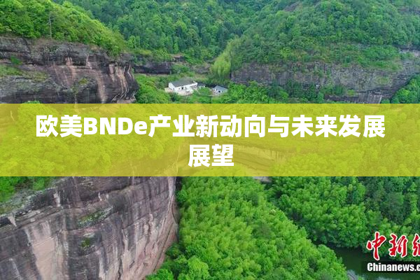 欧美BNDe产业新动向与未来发展展望