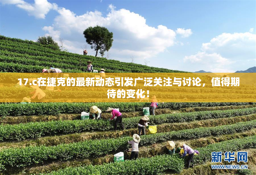 17.c在捷克的最新动态引发广泛关注与讨论，值得期待的变化！