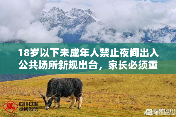 18岁以下未成年人禁止夜间出入公共场所新规出台，家长必须重视执法保障