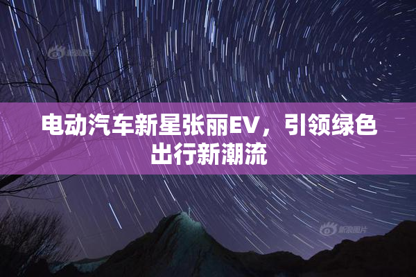 电动汽车新星张丽EV，引领绿色出行新潮流