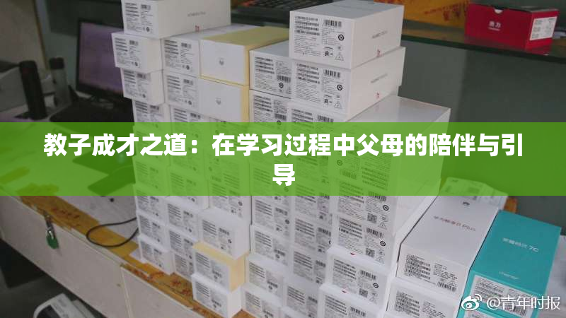 教子成才之道：在学习过程中父母的陪伴与引导