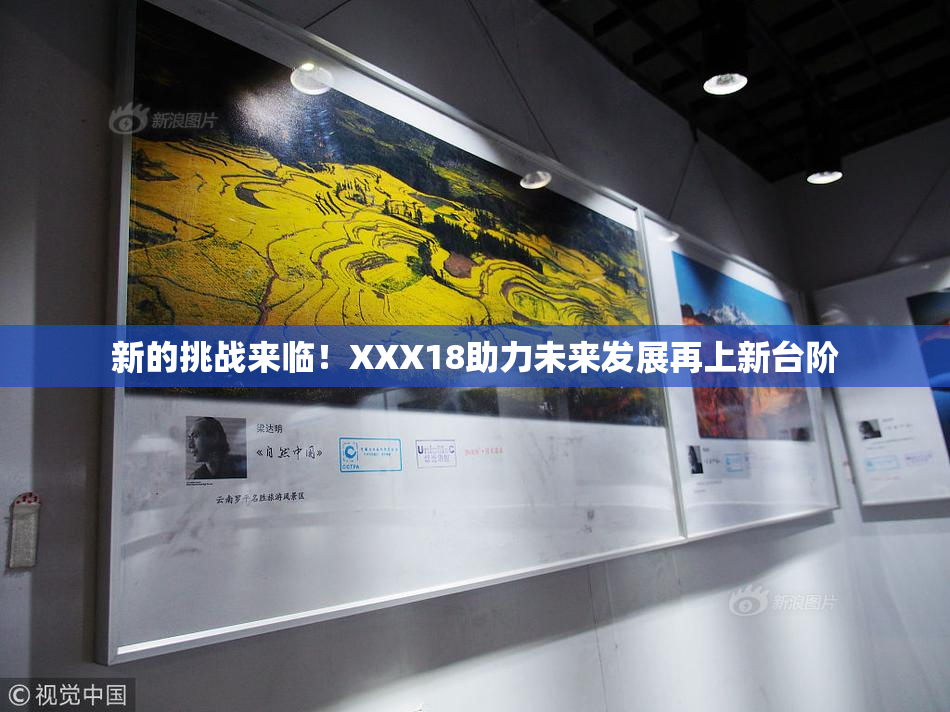 新的挑战来临！XXX18助力未来发展再上新台阶