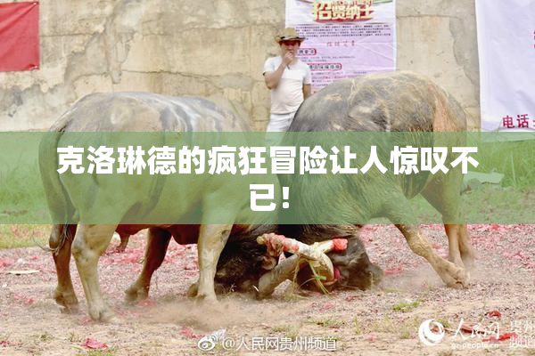 克洛琳德的疯狂冒险让人惊叹不已！